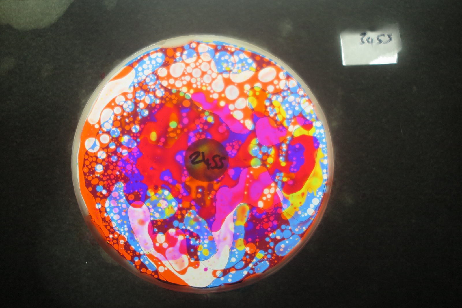 BV3455 bubble vision oil wheel